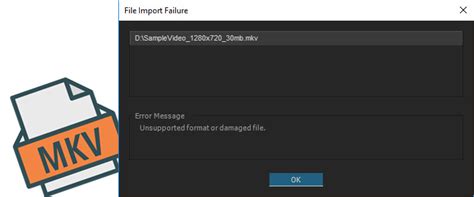 Premiere Pro: How to Import .MKV files (3 Solutions)